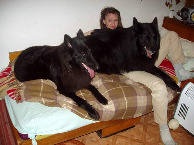 září 2008, Delois a Sir Lott Sever Hvìzdná Laguna