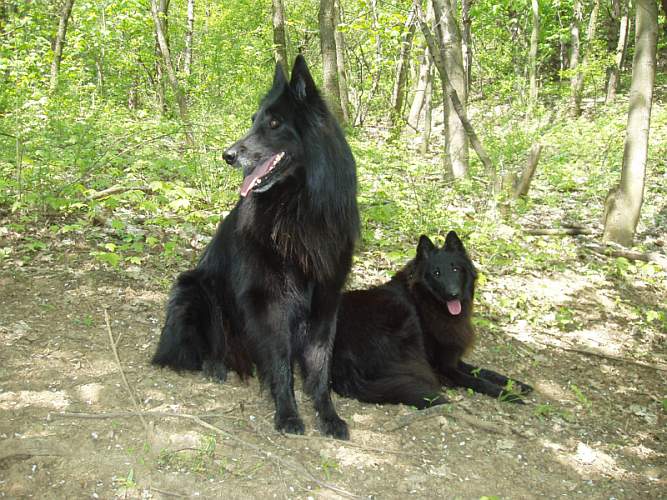 září 2008, Delois a Sir Lott Sever Hvìzdná Laguna