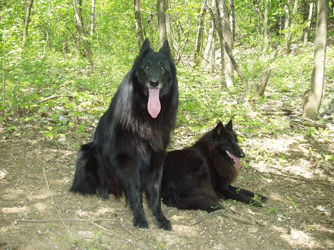 září 2008, Delois a Sir Lott Sever Hvìzdná Laguna
