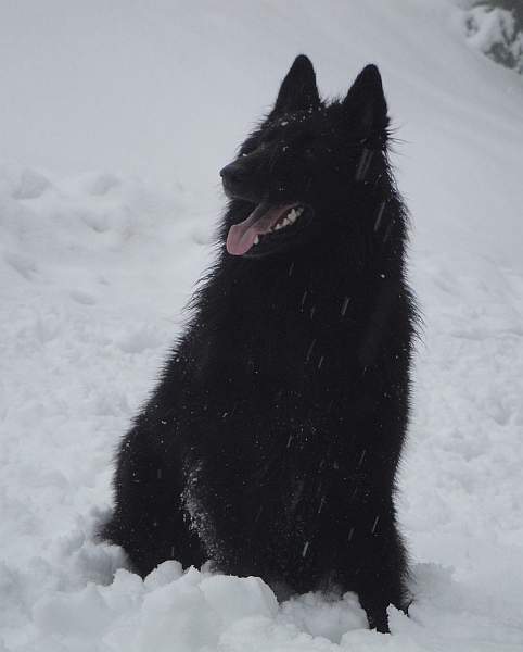 zima 2009