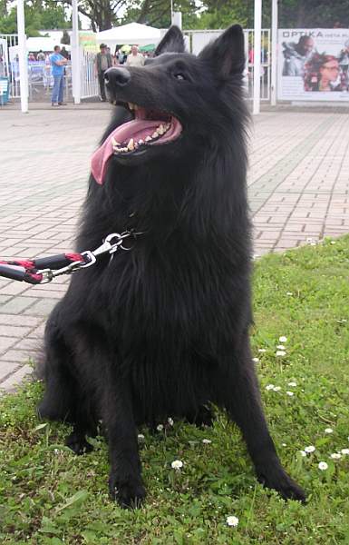 květen 2010 - 3 roky