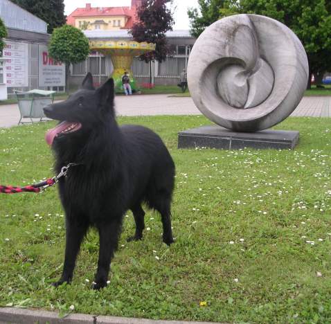 květen 2010 - 3 roky
