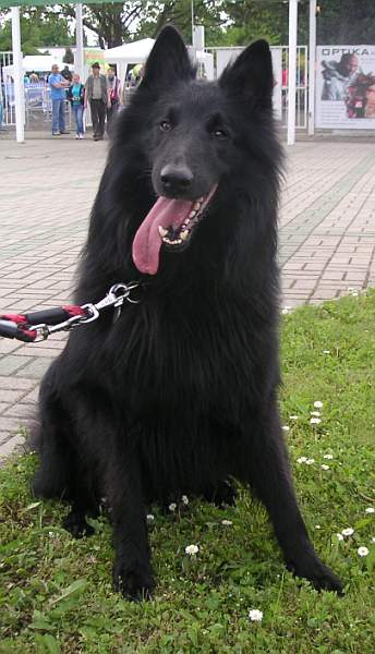 květen 2010 - 3 roky