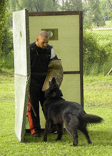 3 years old - protection June 2010