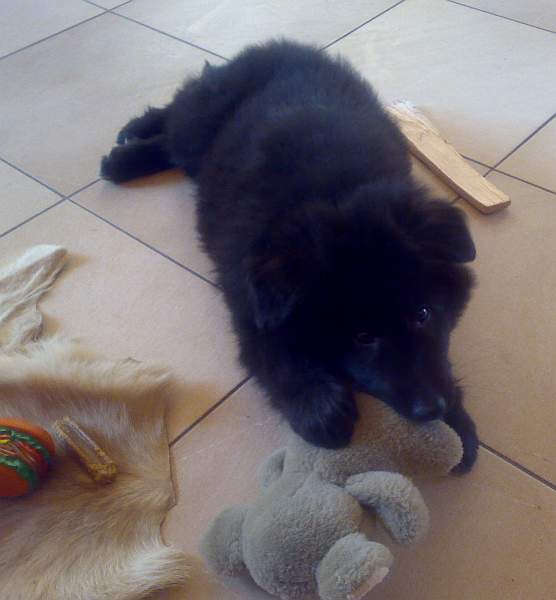 9 weeks