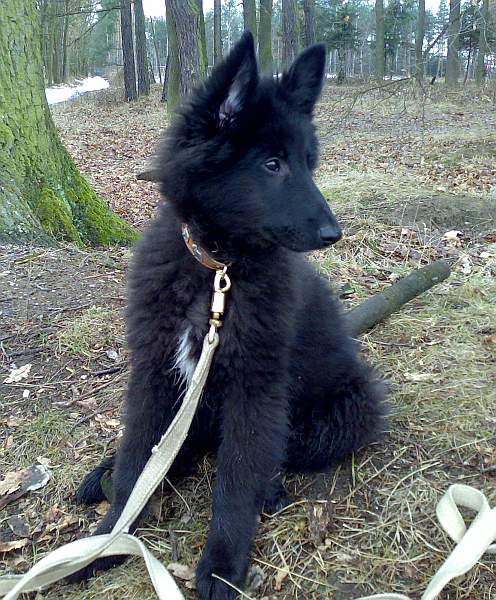3 months