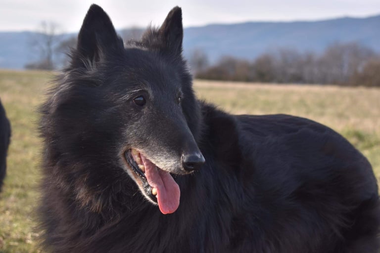 Domia - 13 years old