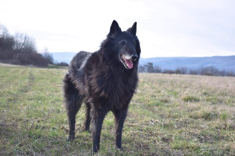 Domia - 13 years old