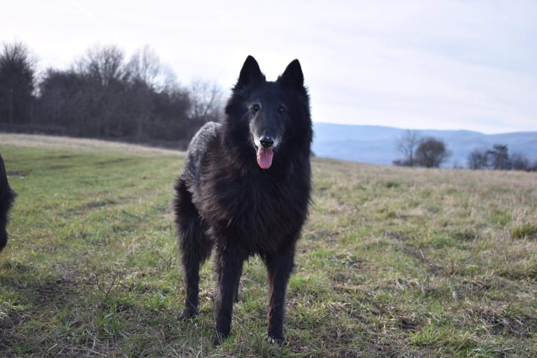 Domia - 13 years old