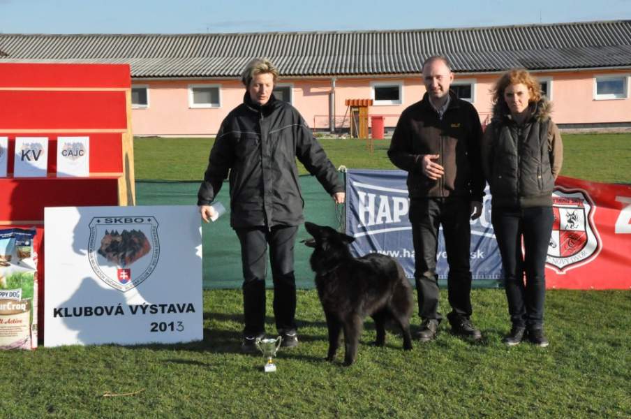 Domia - Klubová výstava SK 2013