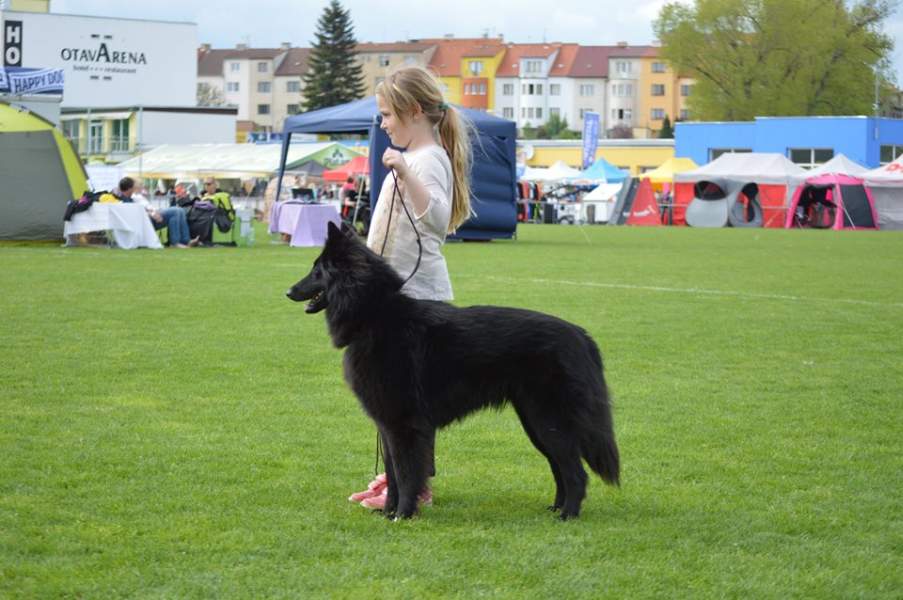 22 months Písek 5