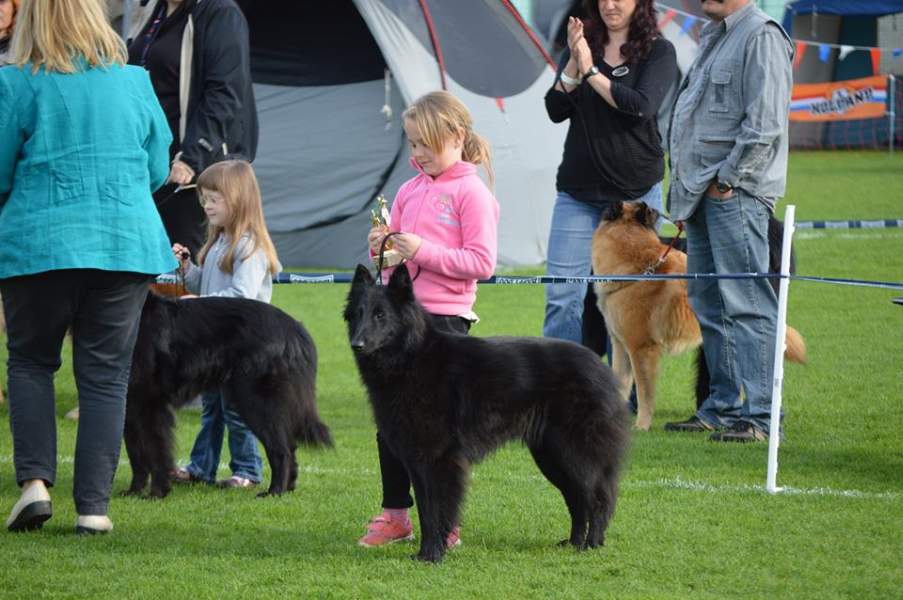 Child and dog 1