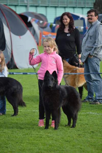 Child and dog 2