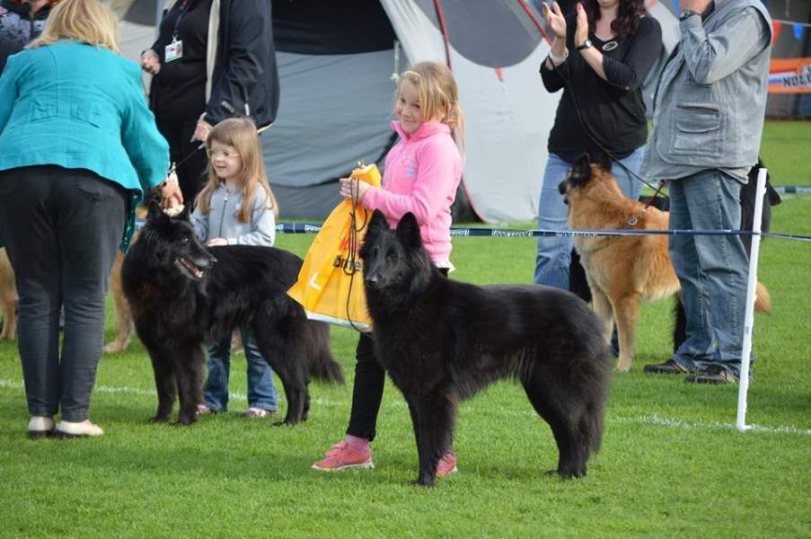 Child and dog 3