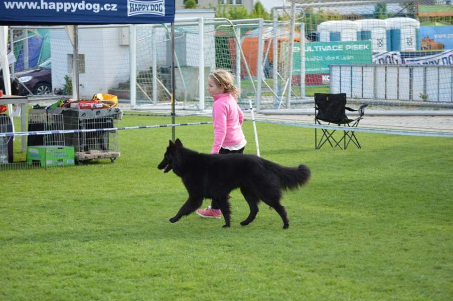Child and dog 5
