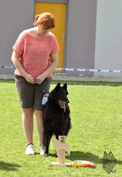 8 let - Klubová a Svìtová výstava Písek 2015