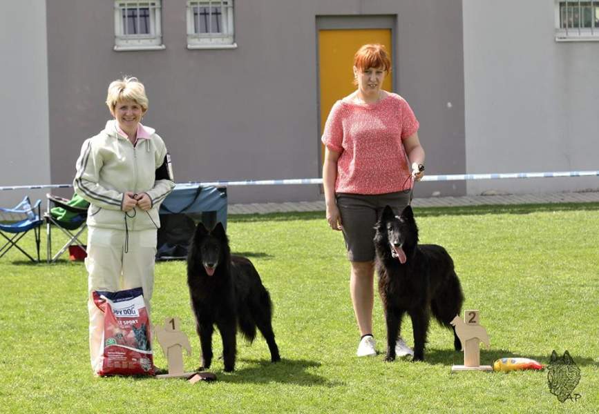8 let - Klubová a Svìtová výstava Písek 2015