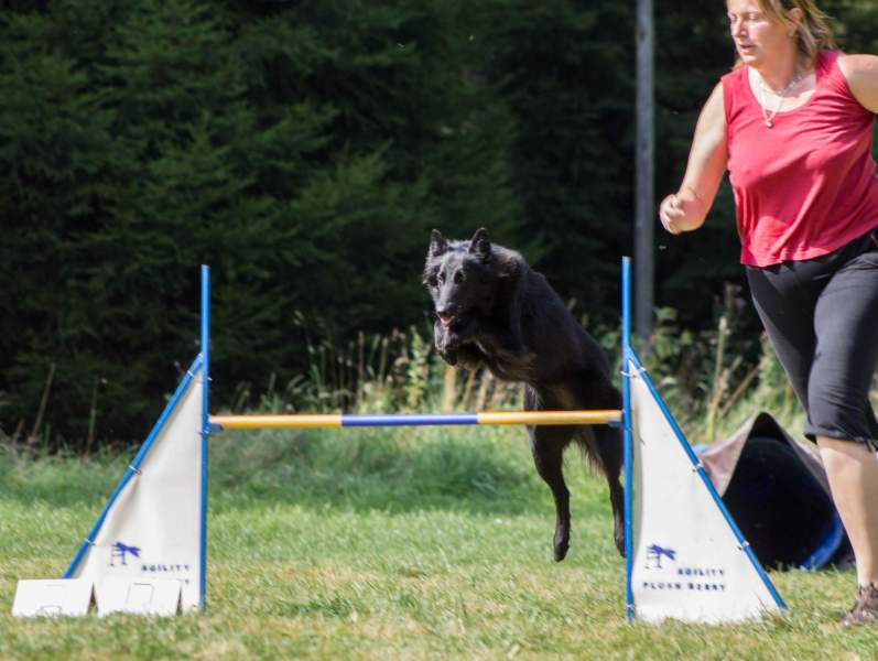 Fiona Agility Camp 1