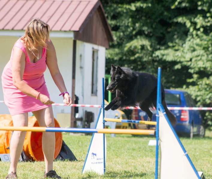 Fiona Agility Camp 6