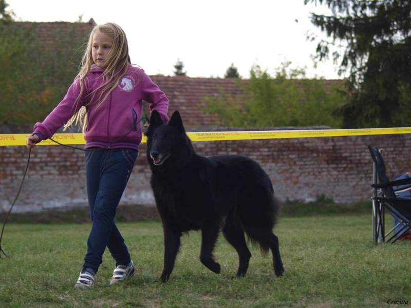 Domia + Fiona - SpV Ratenice 26.09.2015