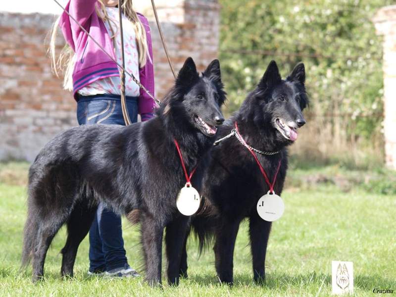 Domia + Fiona - SpV Ratenice 26.09.2015