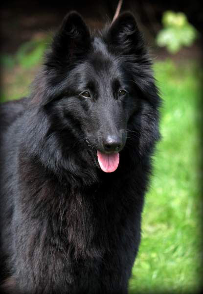 Fiona 3 years 1