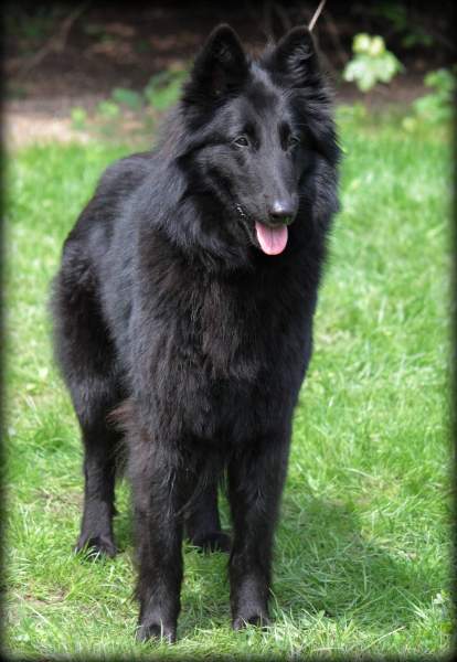 Fiona 3 years 2
