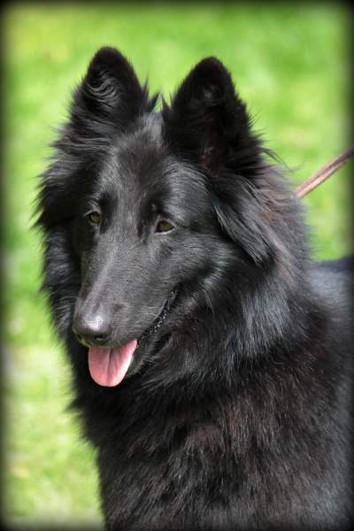 Fiona 3 years 3