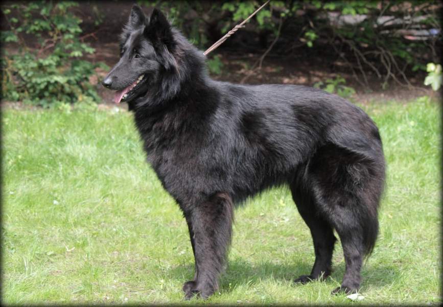 Fiona 3 years 4