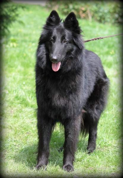 Fiona 3 years 5