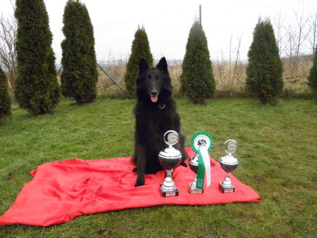 MVP Norimberk 16.01.2011