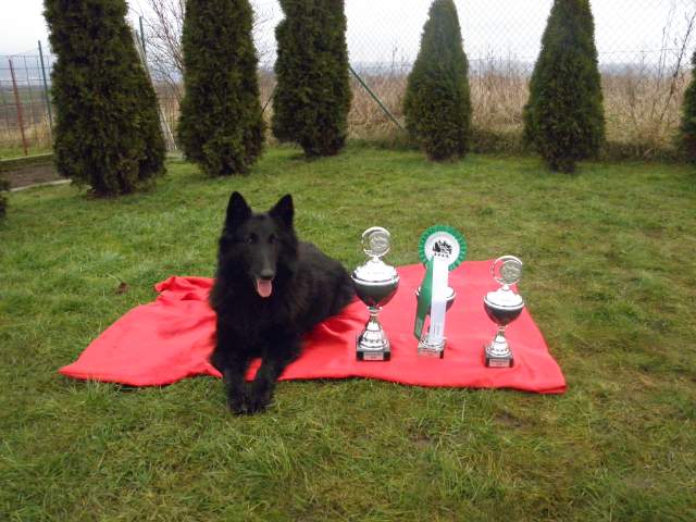 MVP Norimberk 16.01.2011