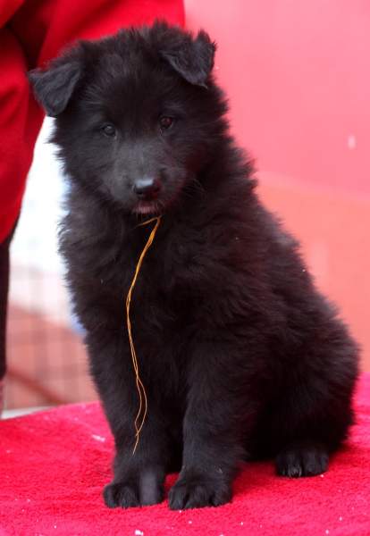 7 weeks 18