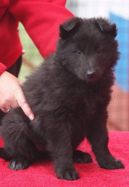 7 weeks 1