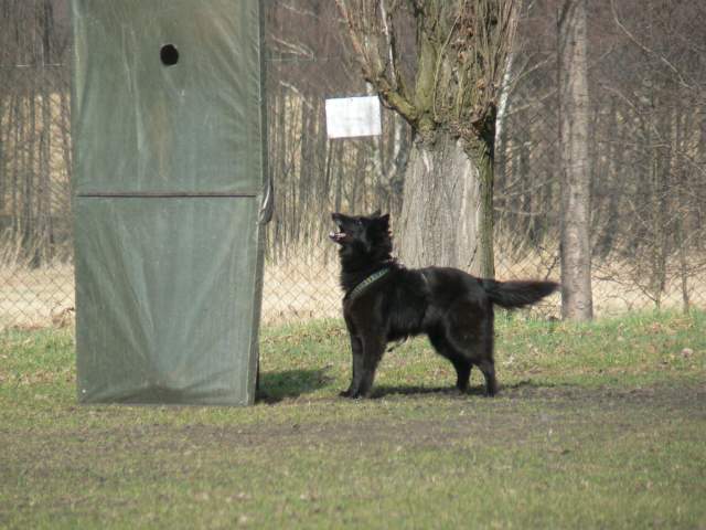 Obrany 01.04.2011