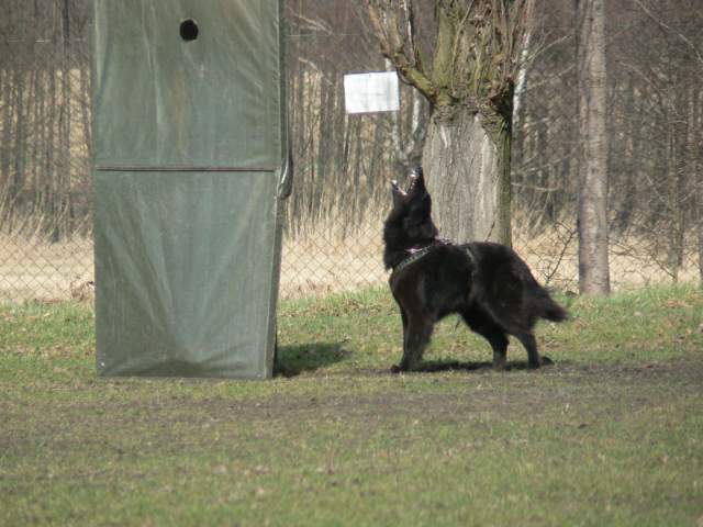 Obrany 01.04.2011