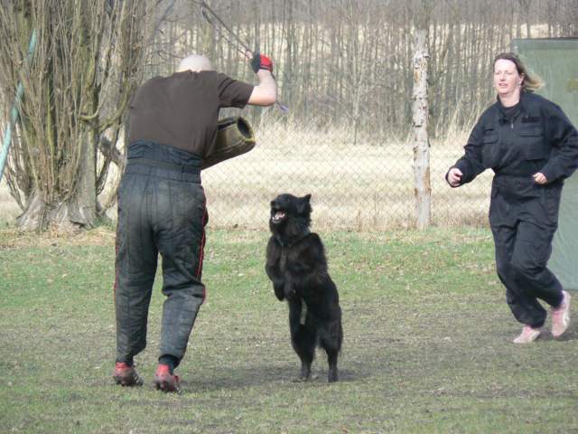 Obrany 01.04.2011