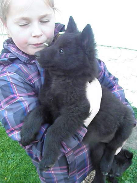 9 weeks 6