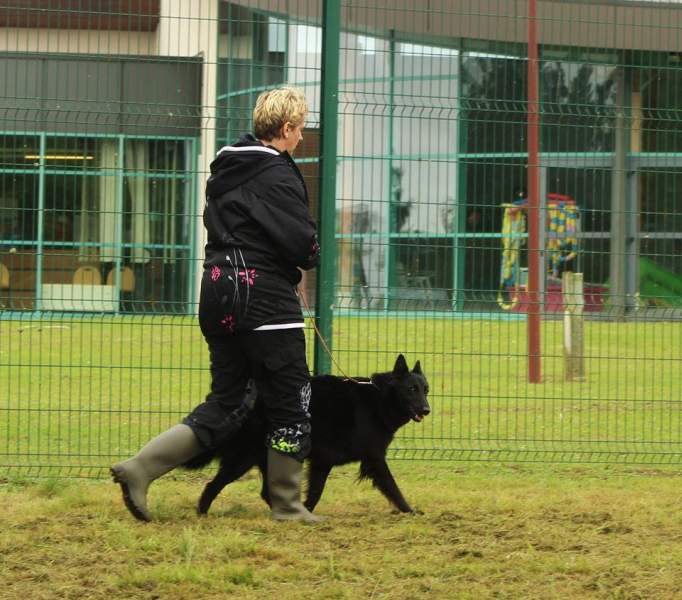 Nationale d´Elevage 5