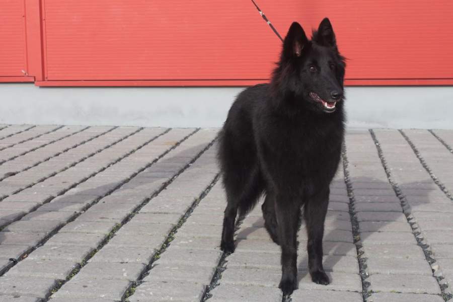 MVP Prague 8 months 5