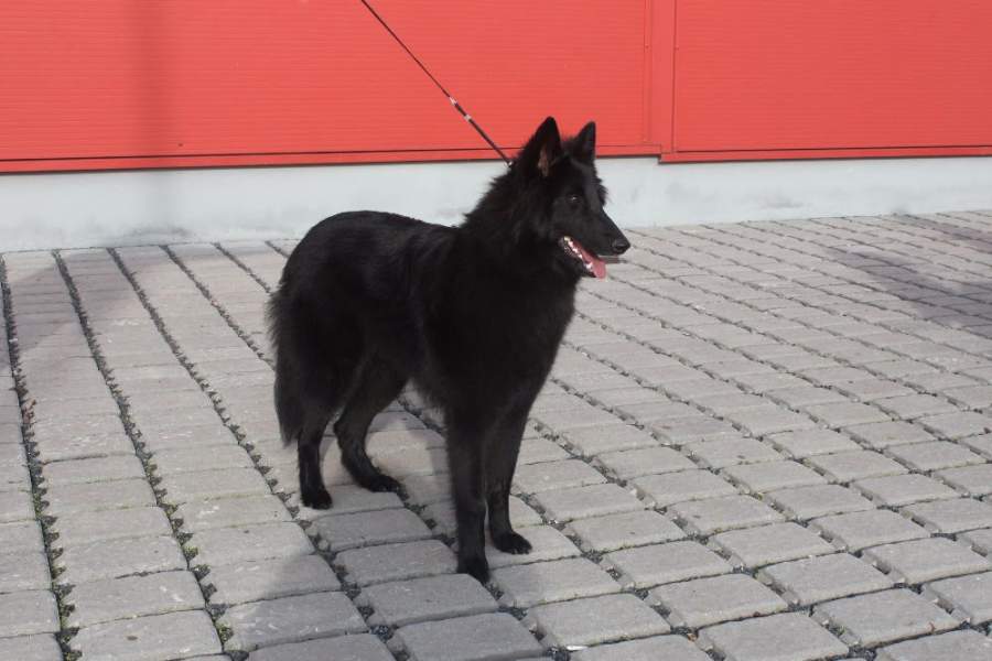 MVP Prague 8 months 6
