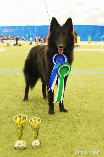 MVP Imatralla 31.03.2018