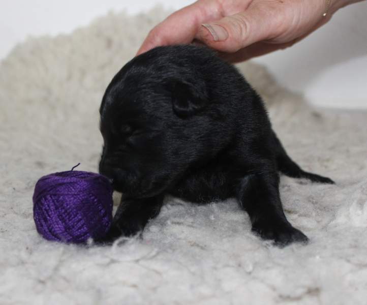 4 weeks 23