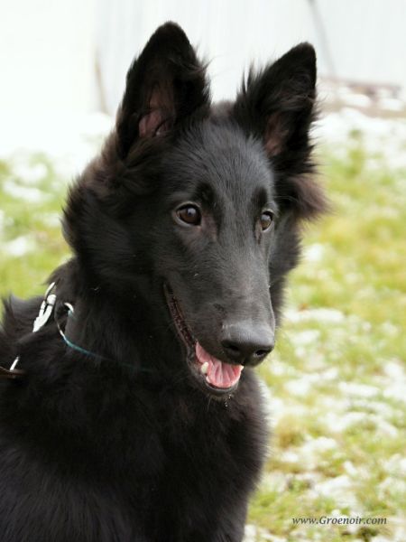 6 months 9