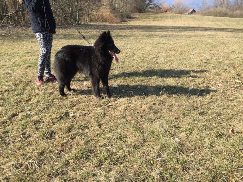 9 měsíců 15