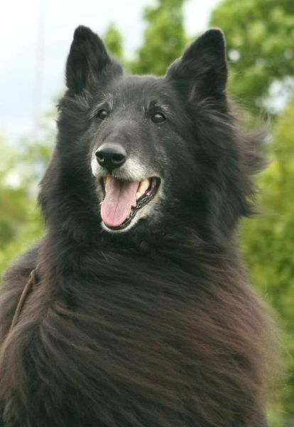 Domia - 12 years old