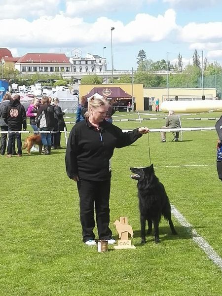 2 roky FMBB Písek 2