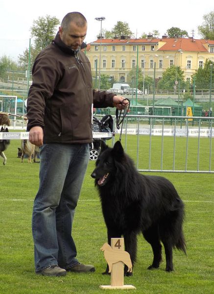 2 roky, FMBB Písek 4