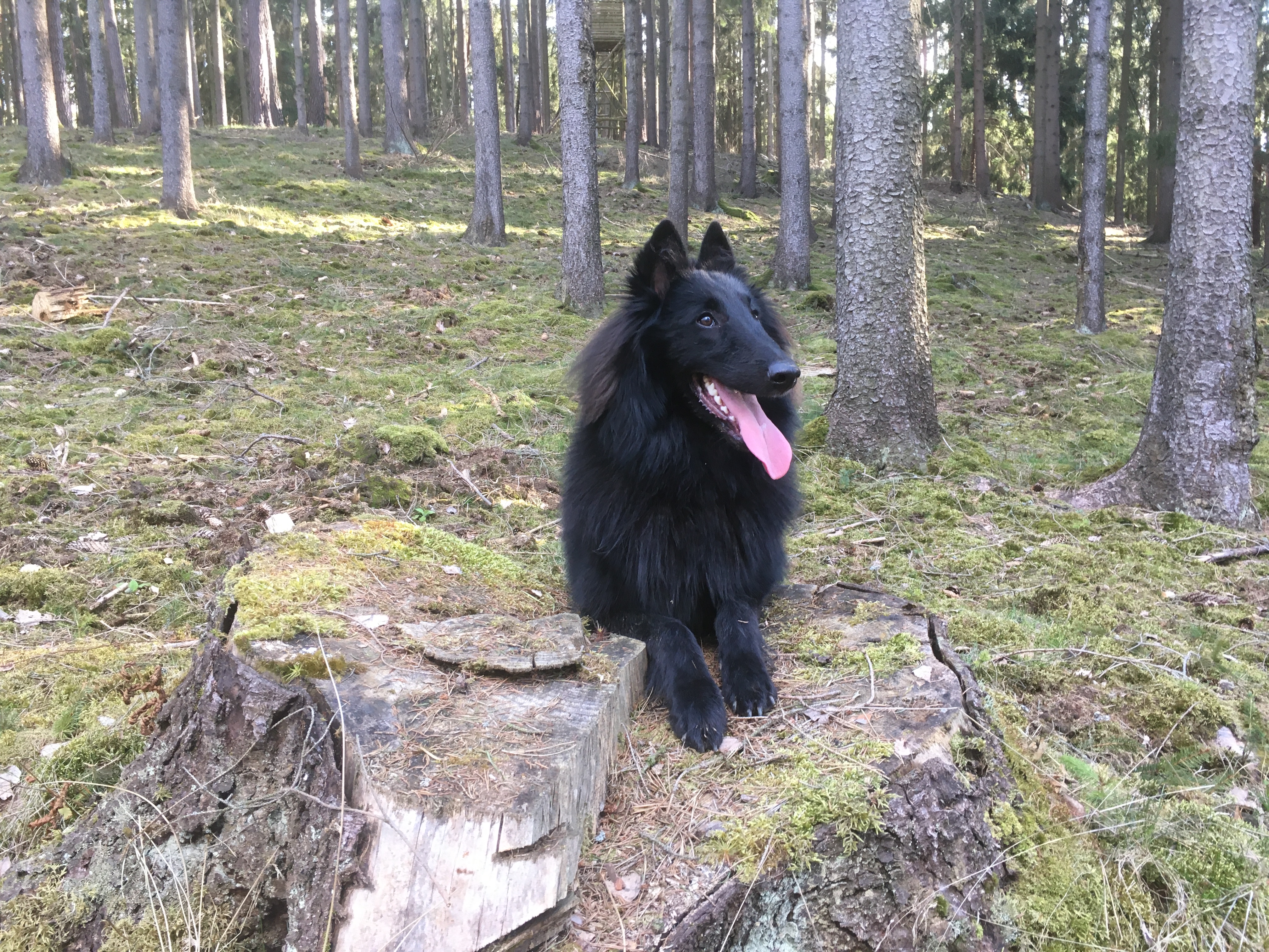 9 months 2