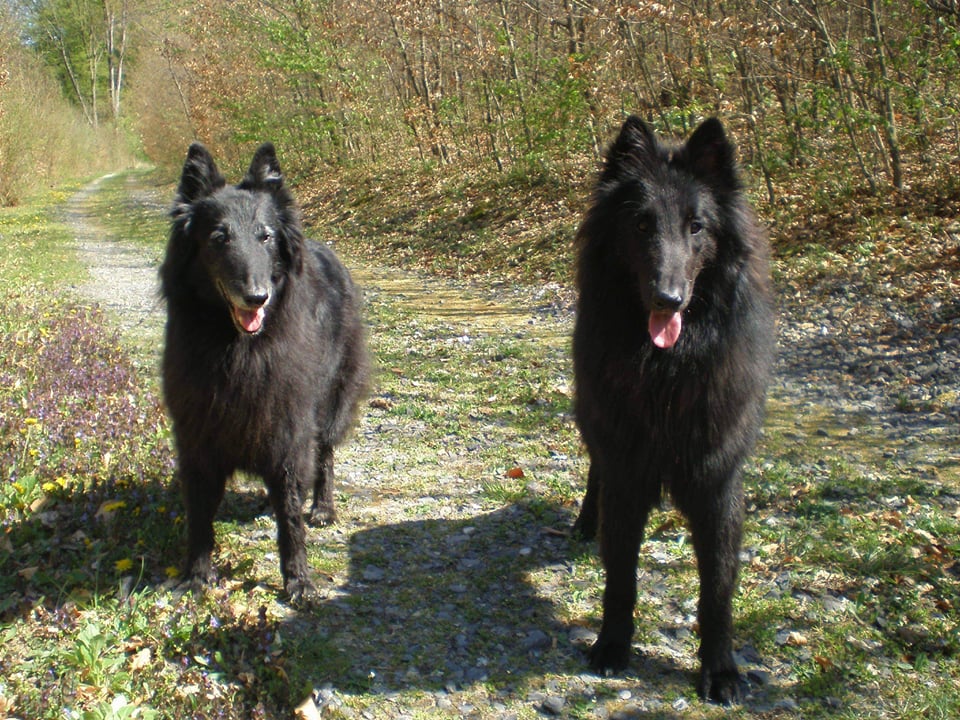 Heimdall + Delois 1